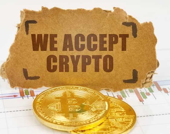 تا سال ۲۰۳۰ نرخ پذیرش بیت کوین به ۱۰ درصد خواهد رسید

