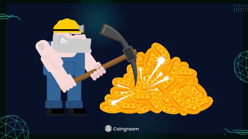 بررسی وضعیت دارایی ماینرها
