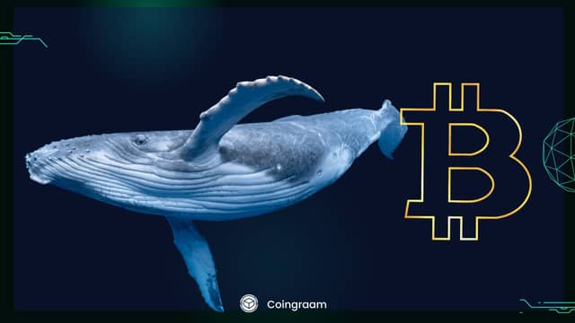 🐋 نهنگ مرموز نیم میلیارد دلار روی سقوط بیت‌کوین شرط‌بندی کرد!