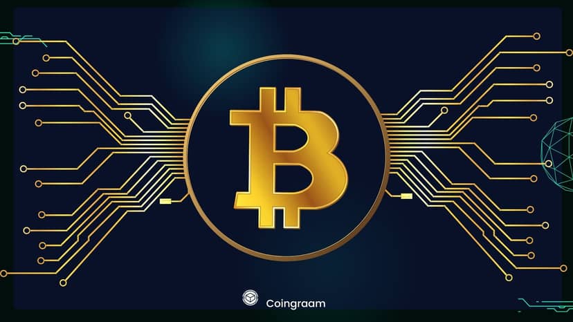 ۶۰ روز مانده به هاوینگ بیت کوین: آیا شاهد رشد قیمت خواهیم بود یا کاهش آن؟