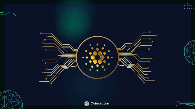 آپدیت جدید کاردانو به نام Mithril معرفی شد!