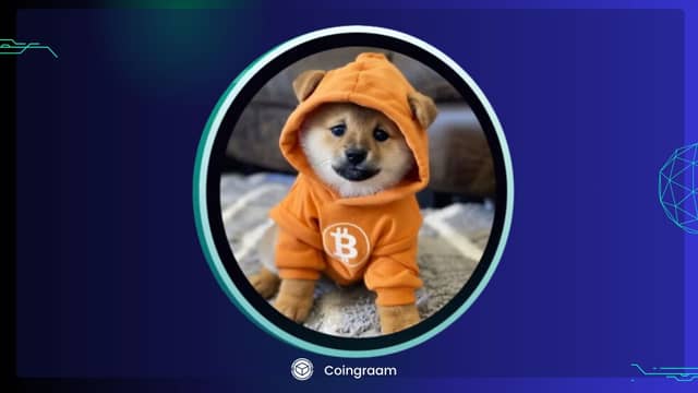 رمزارز DOG وارد بازار کوینکس شد٬ در مورد این ارز چه می‌دانیم؟