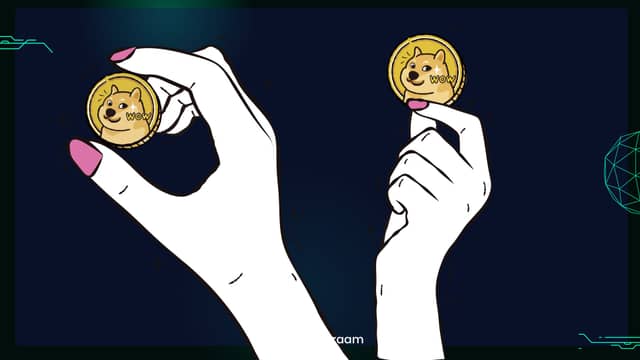 📈 انفجار قیمت دوج‌کوین در جولای؛ رشد ۷۷ درصدی!