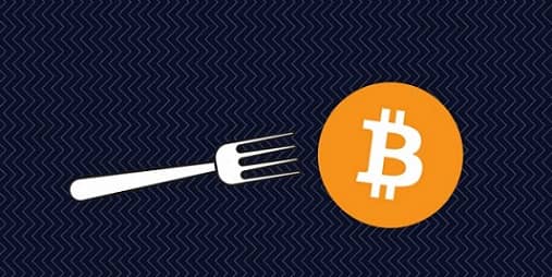 بررسی عملکرد قیمتی ۵ فورک مشهور بیت کوین از پیدایش تا به امروز؛ سرنوشت هر ارز چگونه بوده است؟