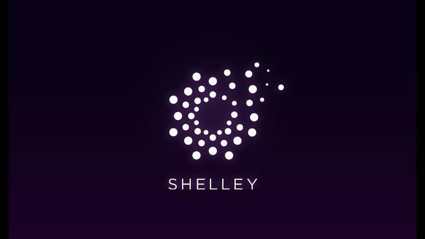 افزایش ۱۸ درصدی قیمت کاردانو؛ تاریخ هاردفورک شلی (Shelley) مشخص شد!


