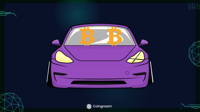 ثابت ماندن ذخایر بیت‌کوین تسلا!