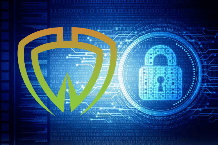 می‌خواهید در تراکنش‌های بیت کوین ناشناس بمانید؟ با کیف پول Wasabi آشنا شوید!

