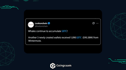 انباشت بیت‌کوین توسط نهنگ ناشناس با انتقال ۹۰ میلیون دلار