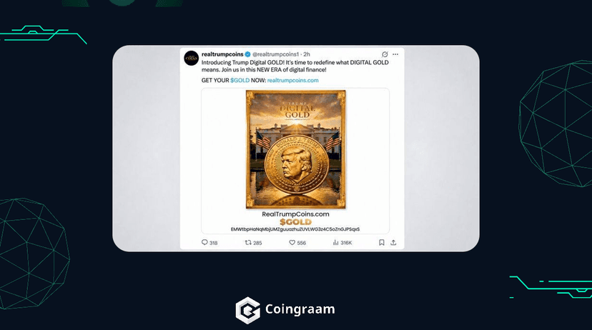 کلاهبرداری توکن GOLD؛ سود ۳۱۲ هزار دلاری از راگ پول جدید!