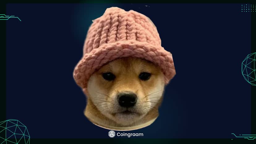 سگ کلاهدار(Dogwifhat)، در صرافی معتبر بیتفینکس لیست شد!