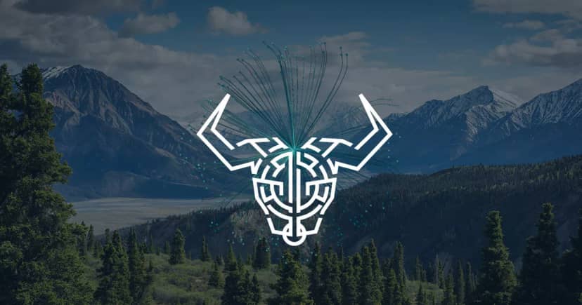 کیف پول ددالوس (Daedalus) کاردانو عرضه شد