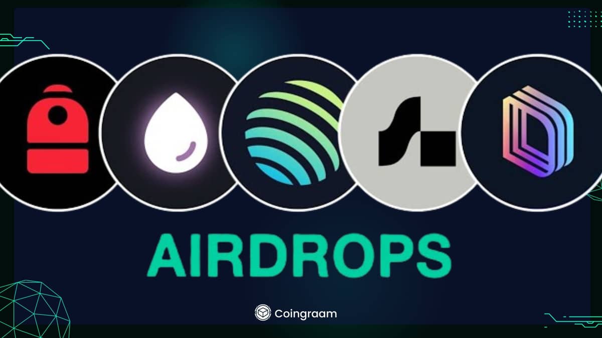 چگونه بفهمیم شامل ایردراپ های سولانا را شامل شدهایم؟ آموزش کار با Solana Airdrop Checker