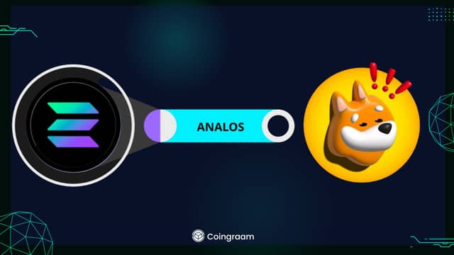 آینده قیمتی BONK، WIF و ANALOS: نگاهی به میمکوینهای سولانا