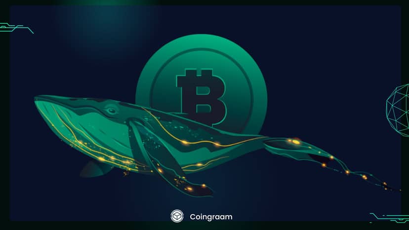 فعال شدن کیف پول نهنگ بیتکوین پس از ۱۱.۸ سال