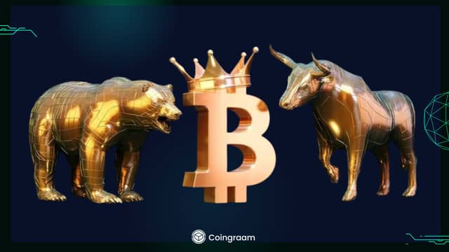 بازار قرمز، امید سبز! تحلیلگران علت خوشبینی به رالی بعدی کریپتو را توضیح دادند