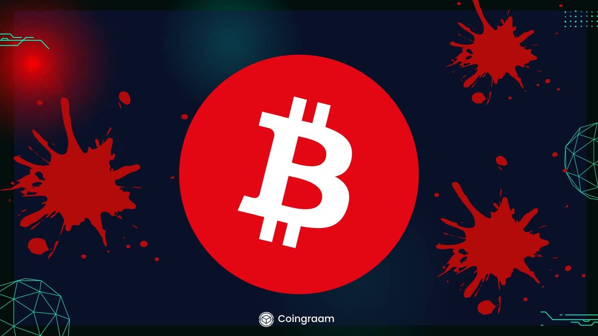 اسپیس ایکس دلیل این حمام خون چند میلیارد دلاری بیت کوین نیست!