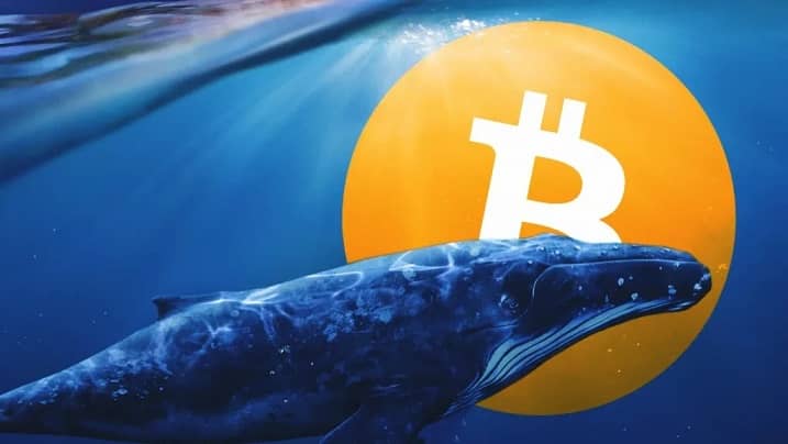 بزرگترین نهنگ بیتکوین ۱۵,۰۰۰ بیت به صرافی انتقال داد!