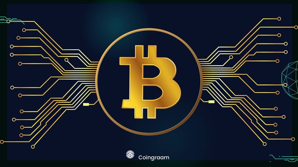 ۶۰ روز مانده به هاوینگ بیت کوین: آیا شاهد رشد قیمت خواهیم بود یا کاهش آن؟