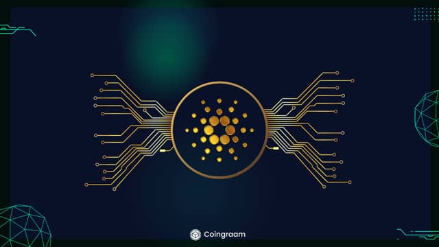 آپدیت جدید کاردانو به نام Mithril معرفی شد!