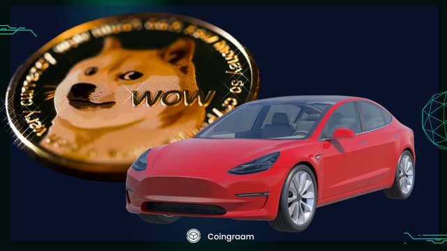 تسلا دروازههای خود را به روی دوج کوین گشود: DOGE هم اکنون قابل پذیرش!