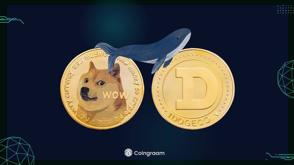 انتقال سنگین نهنگهای دوج به بایننس