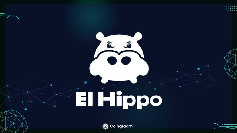 سرمایهگذاران پهپه سراغ ارز دیجیتال ال هیپو (HIPP) رفتند!