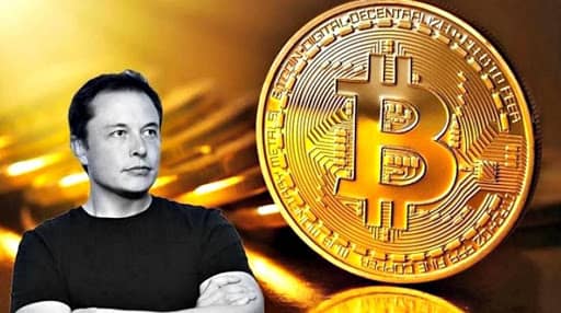 کاهش ۱۶٪ قیمت بیت کوین؛ ایلان ماسک علیه بیت کوین برخاست