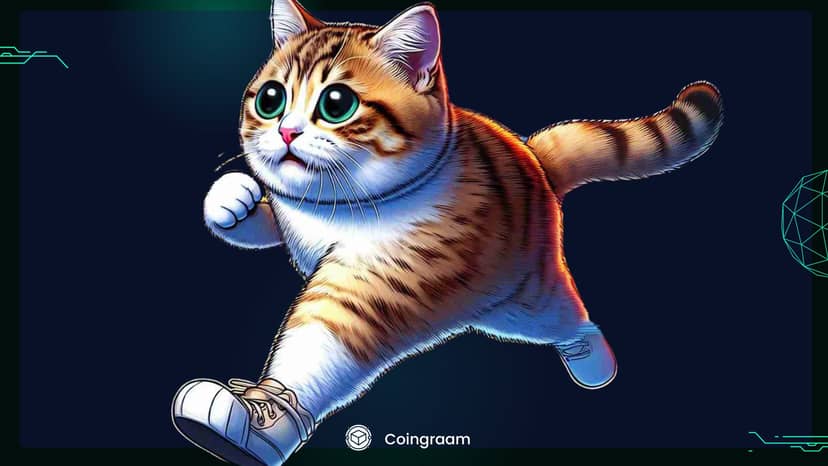 ارز HOBBES در کوینکس لیست شد; در مورد HOBBES چه میدانیم؟