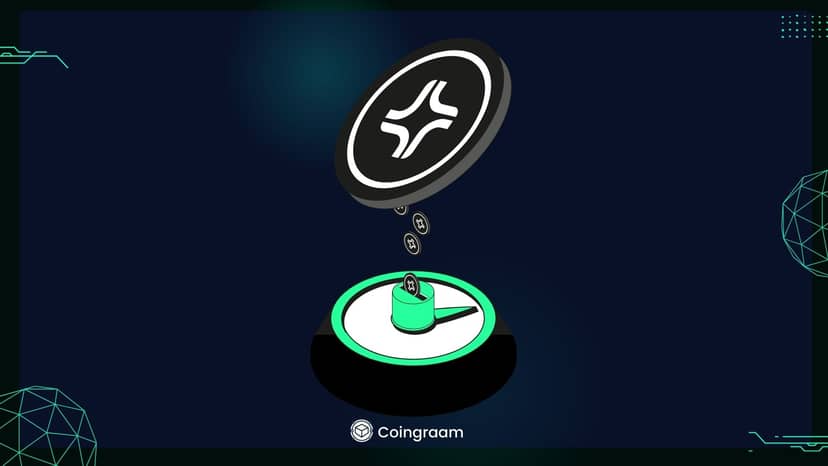 رشد قیمتی جیتو؛ این رشد قیمتی ادامه دارد؟