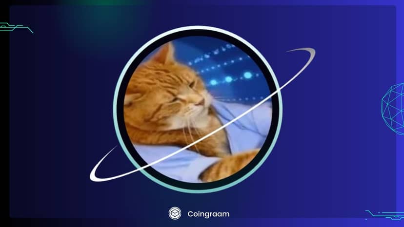 میم کوین KEYCAT در کوینکس لیست شد؛ در مورد این میم کوین چه میدانیم؟