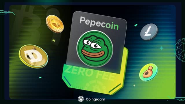 پهپهکوین (PepeCoin یا PEP) چیست؟ چطور با استفاده از ViaBTC پهپهکوین به دست بیاریم
