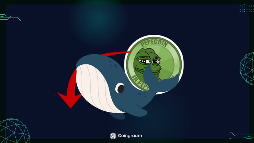ارزش بازار میمکوین پپه به ۲۰۰میلیون دلار کاهش یافت!