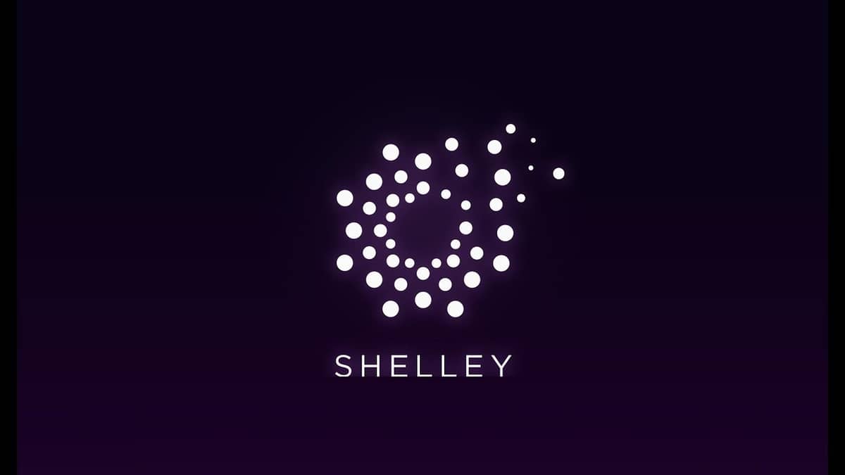 افزایش ۱۸ درصدی قیمت کاردانو؛ تاریخ هاردفورک شلی (Shelley) مشخص شد!