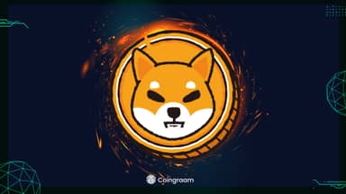پیشبینی رشد چهار برابری برای شیبا اینو (SHIB)؛ افزایش قابل توجه انباشت نهنگها!