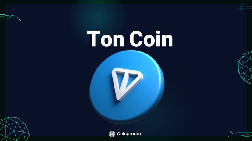 رشد پلتفرم TON