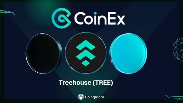 انقلاب در دیفای با Treehouse (TREE)؛ حالا در صرافی کوینکس در دسترس است!