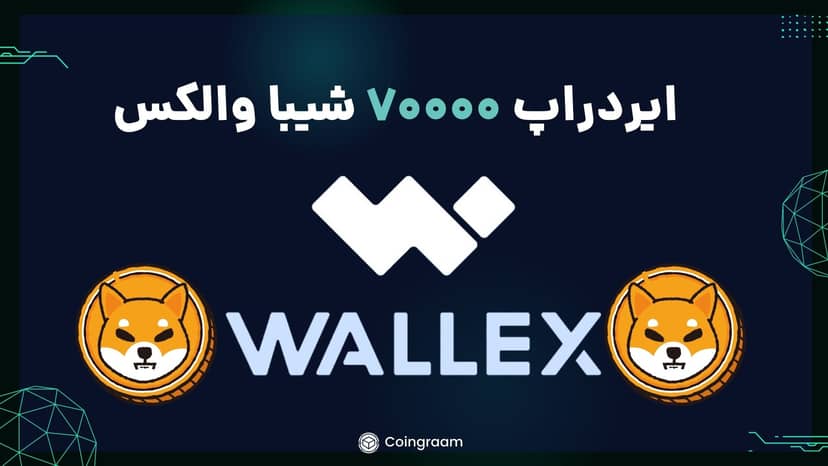 جشنواره صرافی ها٬ ایردراپ هفتادهزار شیبااینو والکس!