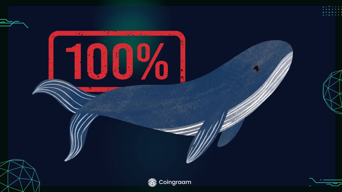 وین ریت 100 درصدی یکی از نهنگهای بازار!