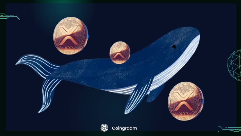 افزایش کیفپولهای نهنگ و روند صعودی ریپل (XRP)