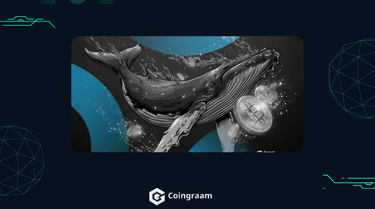 انتقال ۳۳ میلیون دلار از یک کیف پول قدیمی بیت کوین